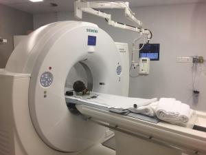 Egyptian Mummy Artefact | CT Scan | WiSE Specialist Emergency | Robina | Macquarie Park
